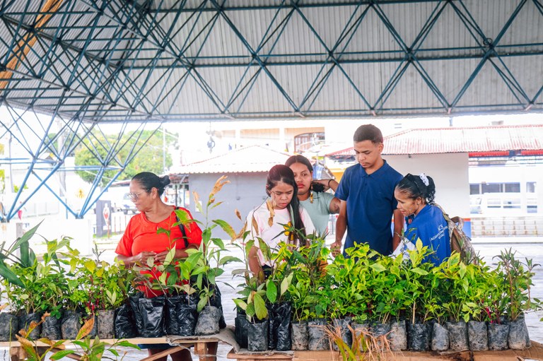 Semana do Meio Ambiente